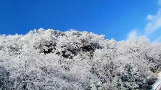 窈窕淑女怎么样—专业问答网站,解决你的疑问
